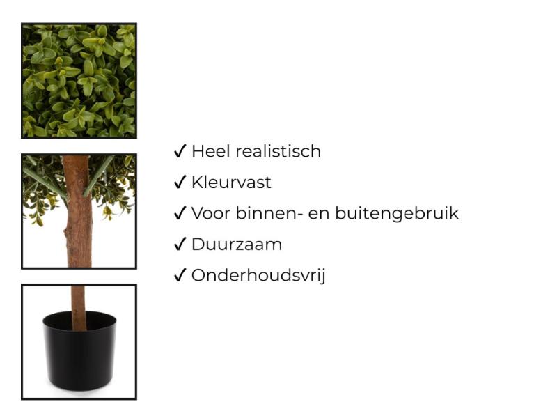 https://cdn.aeman.nl/AE_Hammertime/image/800/800/180984ec-8b17-4f84-9c8b-9d230bd3a054/jpg
