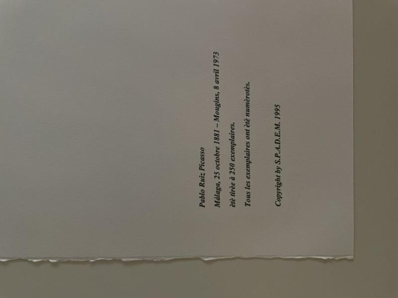https://cdn.aeman.nl/AE_Hammertime/image/800/800/18a1ac39-47ab-4c2c-9e7a-debc8a0247f1/jpg