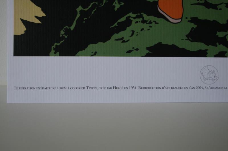 https://cdn.aeman.nl/AE_Hammertime/image/800/800/19720cff-a0da-4752-bb6c-9b3610bcbbb0/jpg