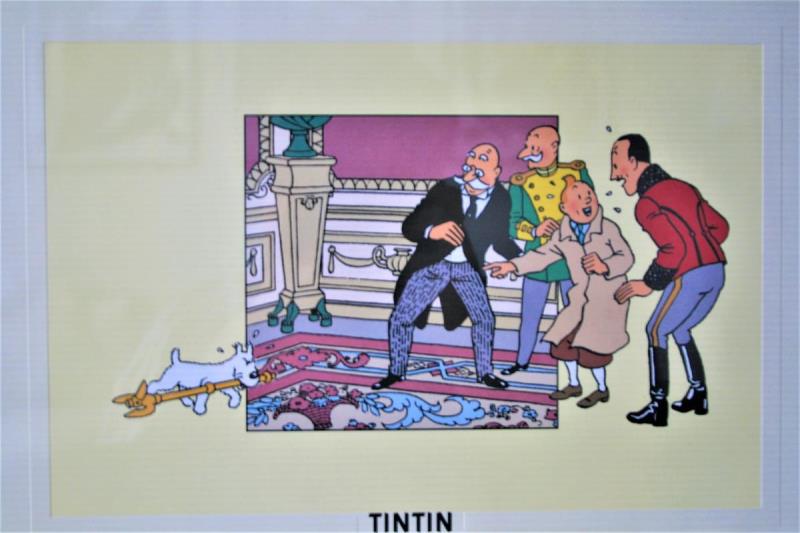 https://cdn.aeman.nl/AE_Hammertime/image/800/800/19869086-deea-4e2e-beb2-ad8ac2e7359e/jpg