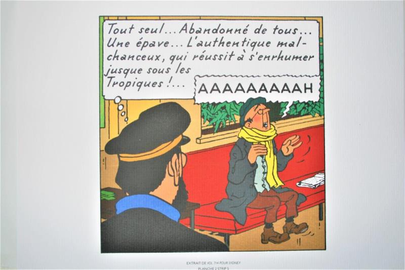 https://cdn.aeman.nl/AE_Hammertime/image/800/800/1b1b6ebd-3cd2-4af4-a759-61e492209ed4/jpg