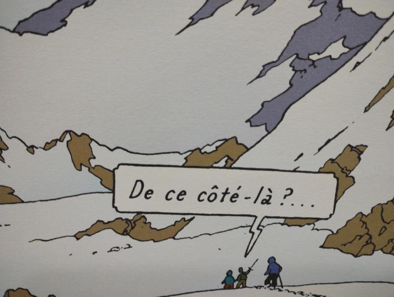 https://cdn.aeman.nl/AE_Hammertime/image/800/800/1e1b4761-a5d4-4bf6-a471-9d4bfa612eec/jpg