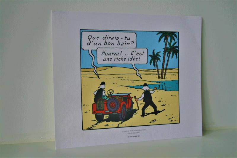 https://cdn.aeman.nl/AE_Hammertime/image/800/800/1e8598ec-4476-48d7-9162-fe729c4b01ff/jpg