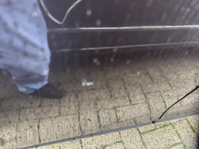 https://cdn.aeman.nl/AE_Hammertime/image/800/800/2844deb8-576f-49d7-9f1e-182d10f76d3b/jpg