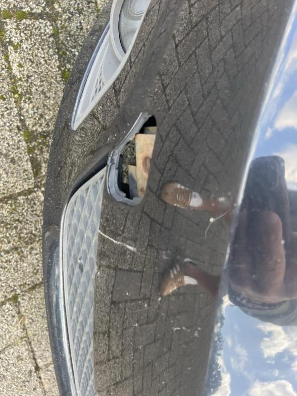 https://cdn.aeman.nl/AE_Hammertime/image/800/800/28999206-237a-4603-89c5-206628a56216/jpg