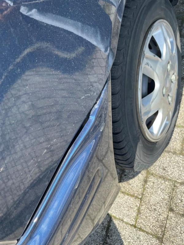 https://cdn.aeman.nl/AE_Hammertime/image/800/800/2d436c11-d1a5-4cf8-9008-56fc66e46a3b/jpg