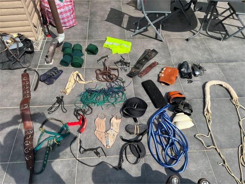 1 Lot Divers Dressuur En Paardrij Materiaal – foto 4 – kavel bij Hammertime