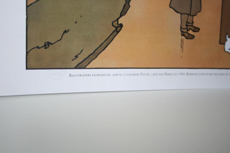 https://cdn.aeman.nl/AE_Hammertime/image/800/800/2f879288-e5ca-4191-84e3-e794f4dfff19/jpg
