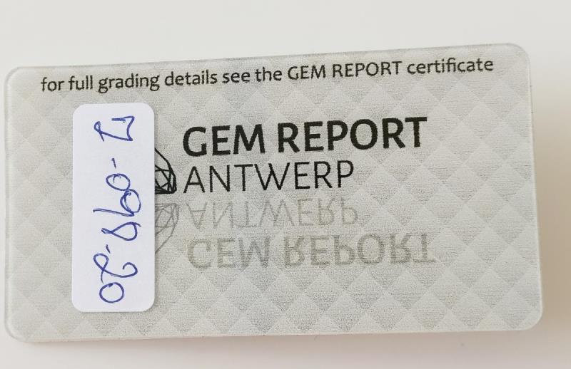 https://cdn.aeman.nl/AE_Hammertime/image/800/800/324e990e-16b3-4551-b0eb-c6afc40a2176/jpg