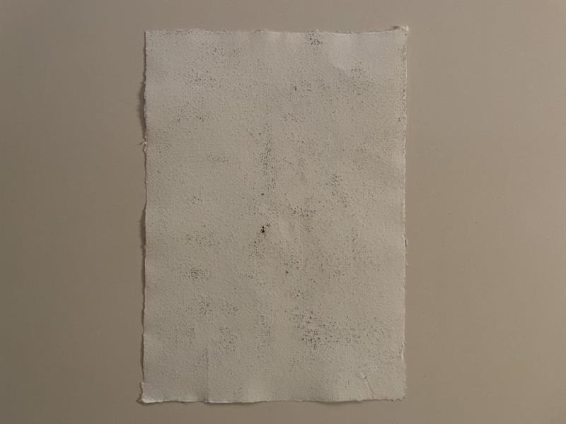 https://cdn.aeman.nl/AE_Hammertime/image/800/800/32827599-33cb-47af-ad10-1a02b00699a9/jpg