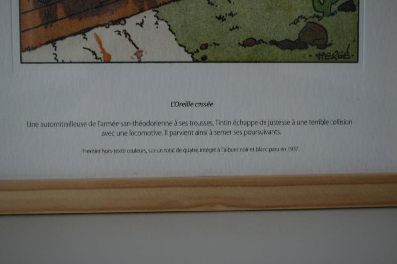 https://cdn.aeman.nl/AE_Hammertime/image/800/800/32bd64ac-19d8-4845-abad-a70b5bc690cf/jpg