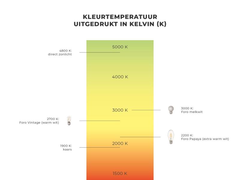 https://cdn.aeman.nl/AE_Hammertime/image/800/800/3346388e-7960-48ce-afba-a18707d733bc/jpg