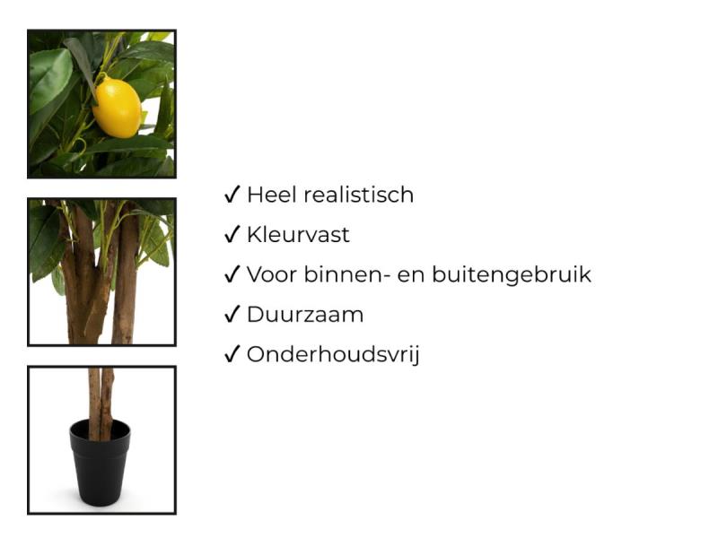 https://cdn.aeman.nl/AE_Hammertime/image/800/800/35418389-164c-407e-97eb-1109ee83bce2/jpg