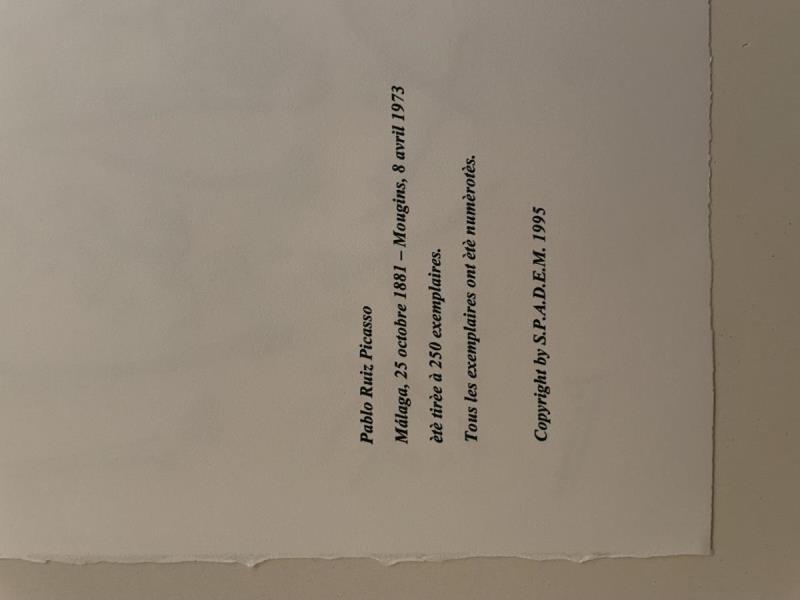 https://cdn.aeman.nl/AE_Hammertime/image/800/800/37c348f0-9a24-4d7b-821a-f7f6f1c6ff40/jpg