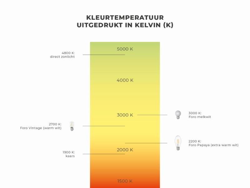 https://cdn.aeman.nl/AE_Hammertime/image/800/800/3a17cc8b-c3de-4801-9bfc-073b0c63967e/jpg