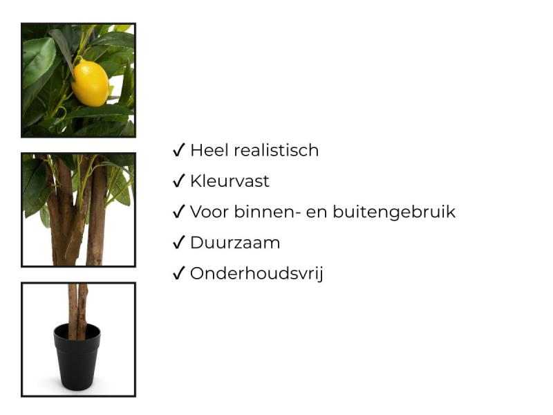 https://cdn.aeman.nl/AE_Hammertime/image/800/800/3a2f6723-2daf-4c04-92ac-552f531d8162/jpg