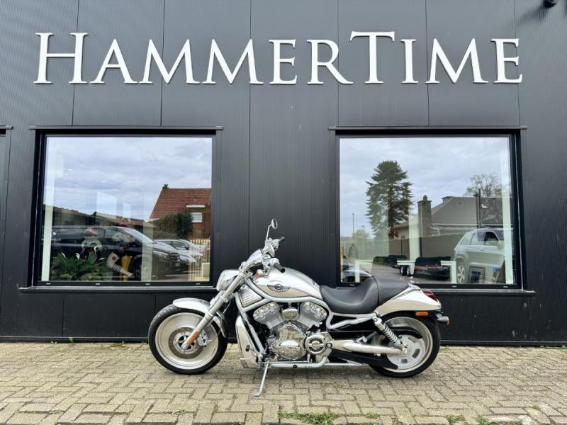 https://cdn.aeman.nl/AE_Hammertime/image/800/800/3ba24ead-b853-4499-b485-db863e5e06c0/jpg