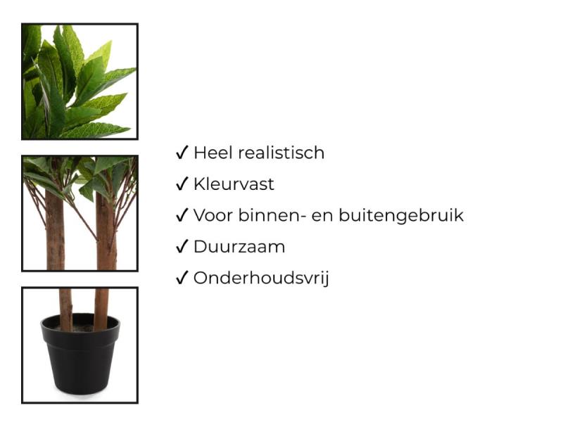 https://cdn.aeman.nl/AE_Hammertime/image/800/800/3dcd83a3-fda4-4c78-a8a3-fcad85178d41/jpg