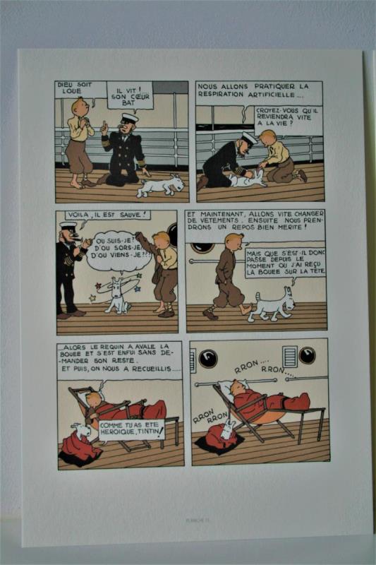 https://cdn.aeman.nl/AE_Hammertime/image/800/800/3f670d9a-6ab3-4bf6-8e02-a9b087edc070/jpg