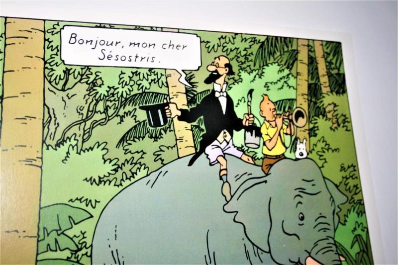 https://cdn.aeman.nl/AE_Hammertime/image/800/800/40860a14-ae0e-401f-b61d-b5776e851891/jpg