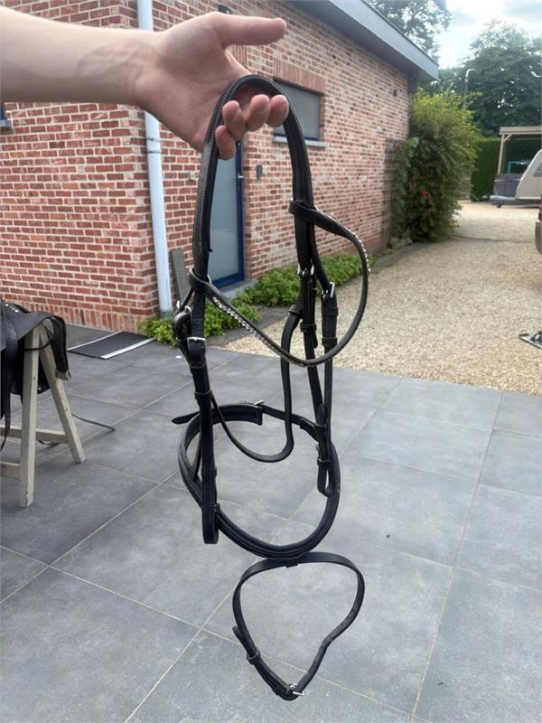 1 Lot Divers Dressuur En Paardrij Materiaal – foto 9 – kavel bij Hammertime