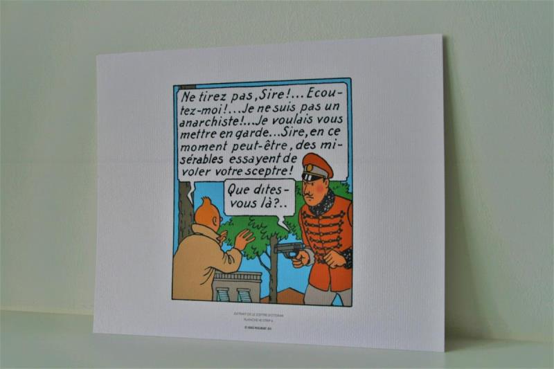 https://cdn.aeman.nl/AE_Hammertime/image/800/800/43db7f32-1bd0-4eb5-891f-8f63d8865fa4/jpg