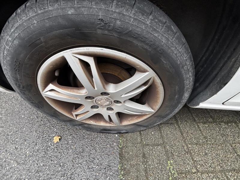 https://cdn.aeman.nl/AE_Hammertime/image/800/800/44c5be26-e468-49b1-a77f-757888ad0d33/jpg