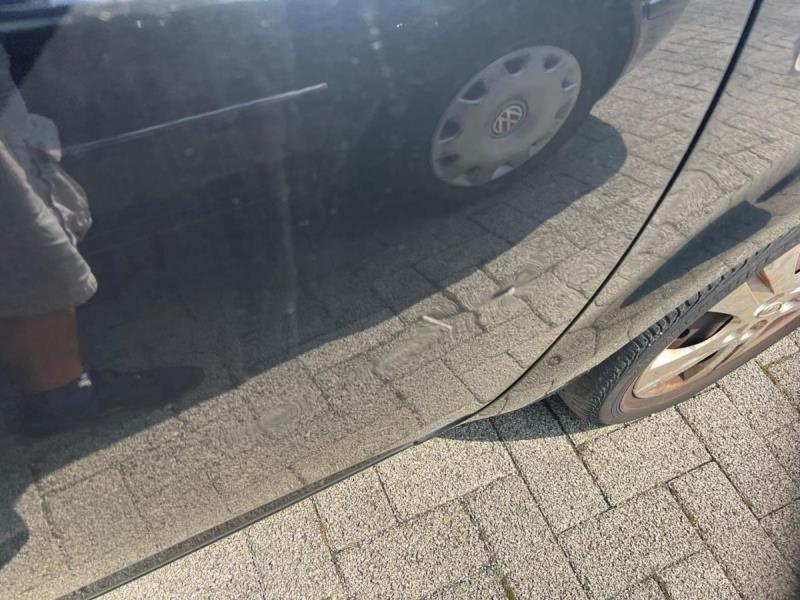 https://cdn.aeman.nl/AE_Hammertime/image/800/800/4576bf7d-70ff-4b07-94b0-23689552377f/jpg