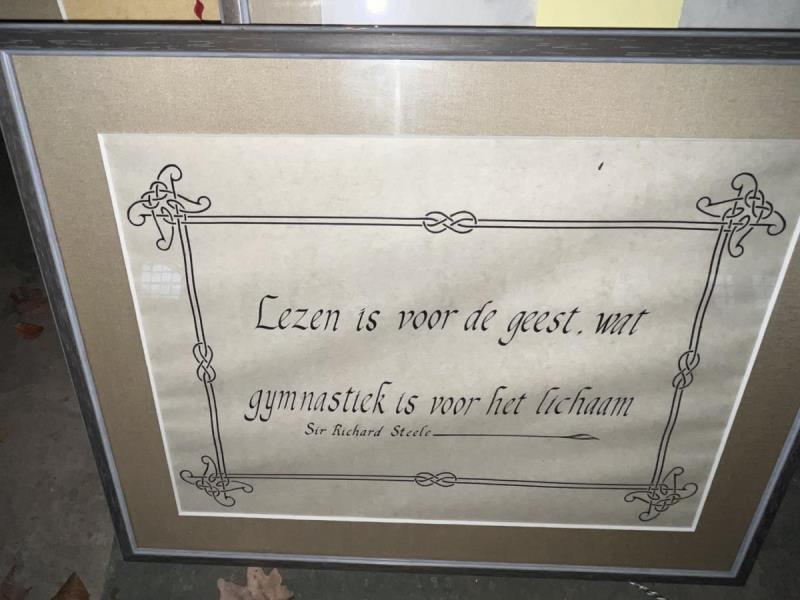 https://cdn.aeman.nl/AE_Hammertime/image/800/800/45c2ff2f-bcd8-4b9a-aa30-9c9f535bb71d/jpg