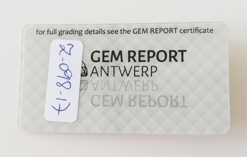 https://cdn.aeman.nl/AE_Hammertime/image/800/800/4623116e-5df2-488c-a144-5fdaa99cb4cb/jpg