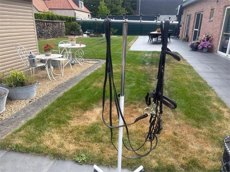 1 Lot Divers Dressuur En Paardrij Materiaal – foto 7 – kavel bij Hammertime