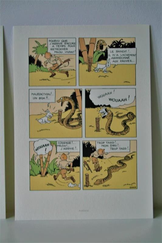https://cdn.aeman.nl/AE_Hammertime/image/800/800/4707e444-f72d-41f1-a491-c159dcf51624/jpg