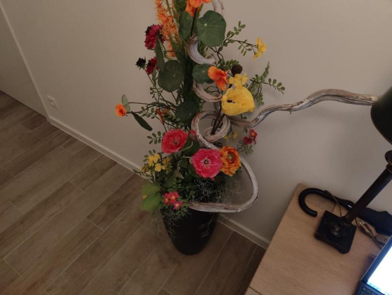 https://cdn.aeman.nl/AE_Hammertime/image/800/800/4dfd7b89-43b7-4e40-8e66-40a14b969c9e/jpg