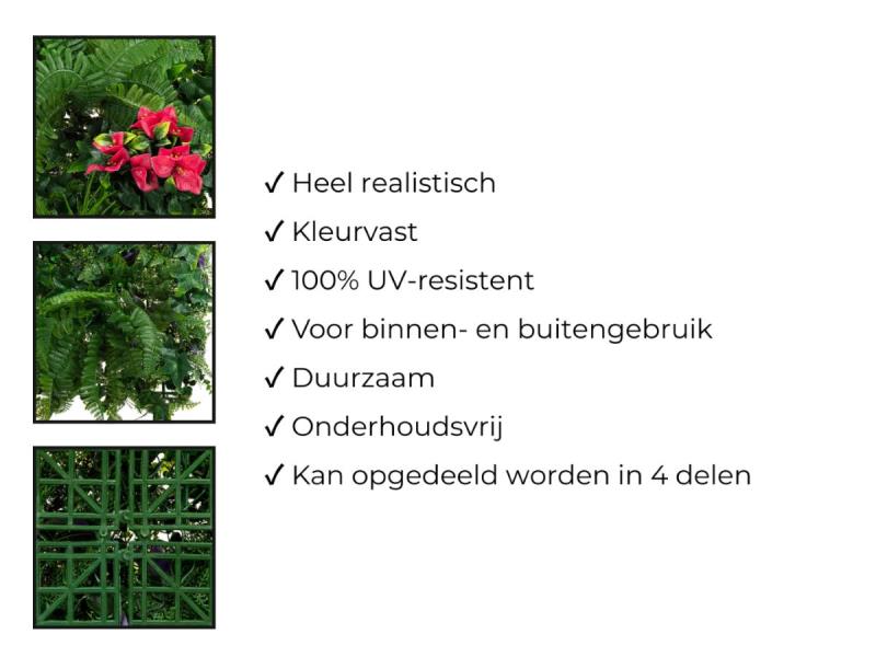 https://cdn.aeman.nl/AE_Hammertime/image/800/800/4efc75cc-f231-43c1-8f49-50bf0d26e193/jpg