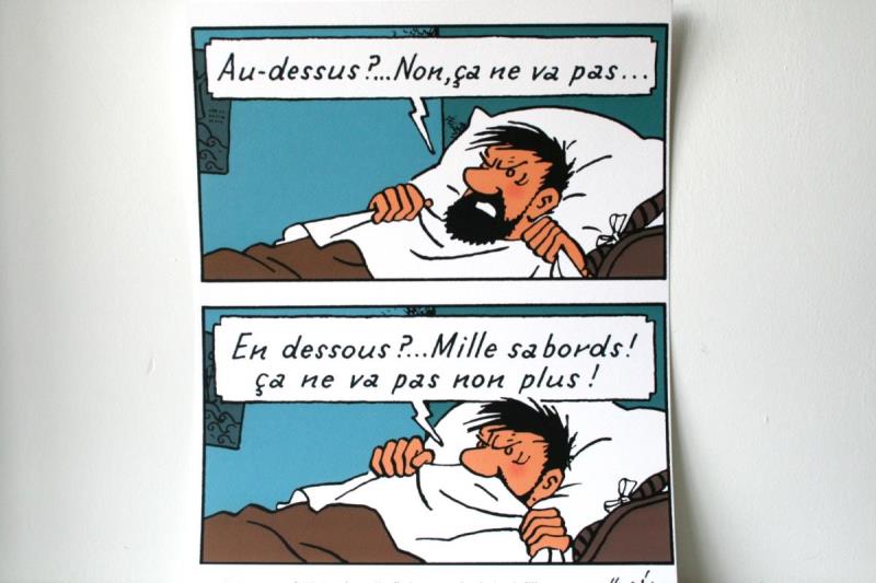 https://cdn.aeman.nl/AE_Hammertime/image/800/800/51926546-ffce-4465-bdb1-00ff9634e8be/jpg