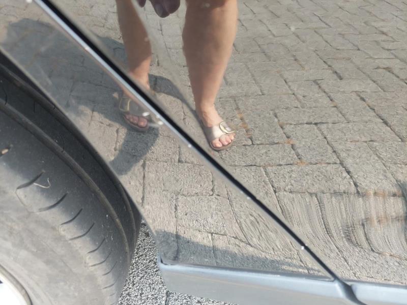 https://cdn.aeman.nl/AE_Hammertime/image/800/800/55f90920-7ff1-4c3c-a562-fd7281e4c1d4/jpg