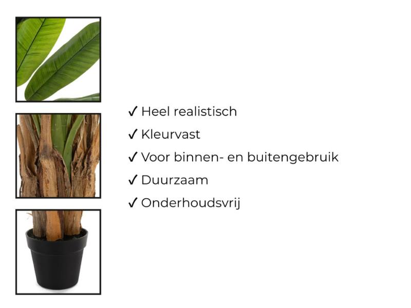 https://cdn.aeman.nl/AE_Hammertime/image/800/800/568f2ca5-c51c-4755-b8da-a89910a0cd24/jpg