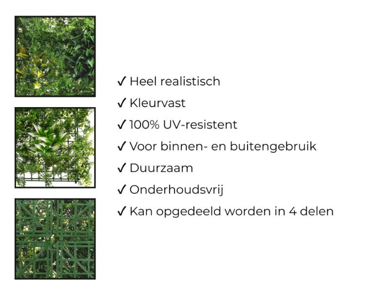 https://cdn.aeman.nl/AE_Hammertime/image/800/800/5c5b7c56-d833-4a58-8af3-4d74452afcbc/jpg