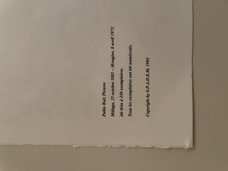 https://cdn.aeman.nl/AE_Hammertime/image/800/800/5c6cfc6f-6836-4078-be06-aa02f3cb327e/jpg