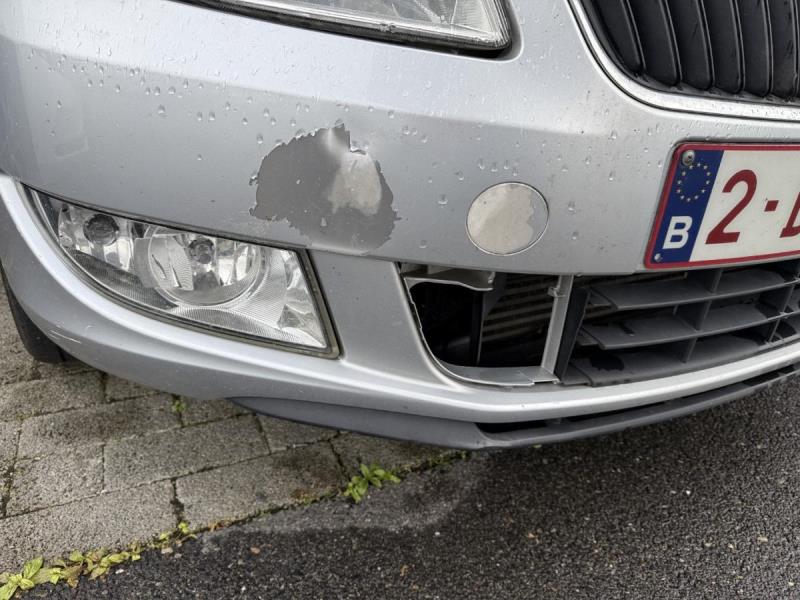 https://cdn.aeman.nl/AE_Hammertime/image/800/800/5cc089e9-0bac-4301-9b98-6fe83e74adce/jpg