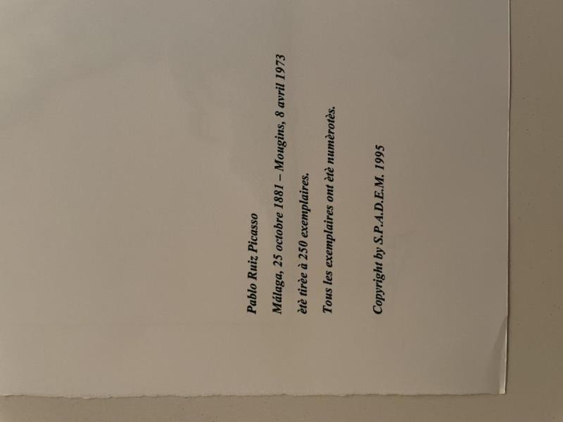 https://cdn.aeman.nl/AE_Hammertime/image/800/800/618987ad-948d-4f69-aeeb-c0c1413e6a96/jpg