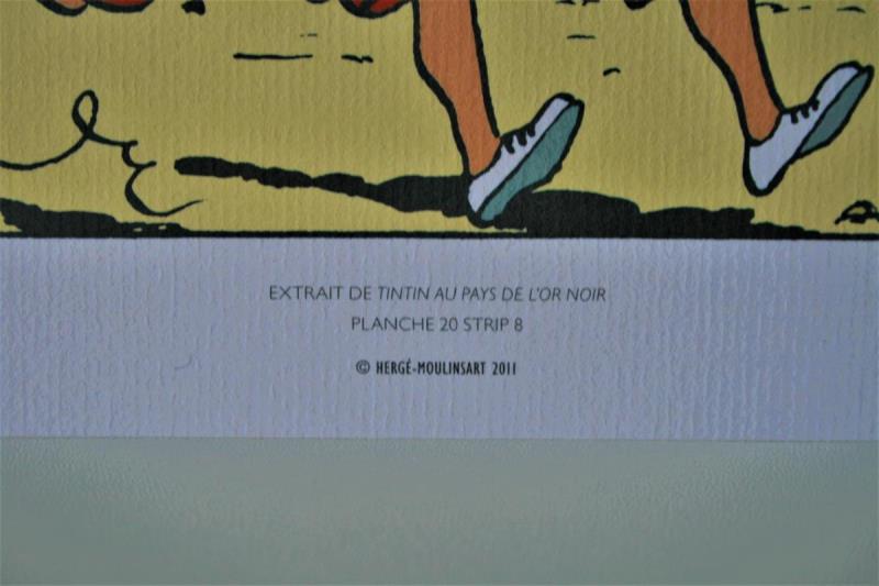 https://cdn.aeman.nl/AE_Hammertime/image/800/800/66952516-6aad-4c1d-92f2-a616f189acda/jpg