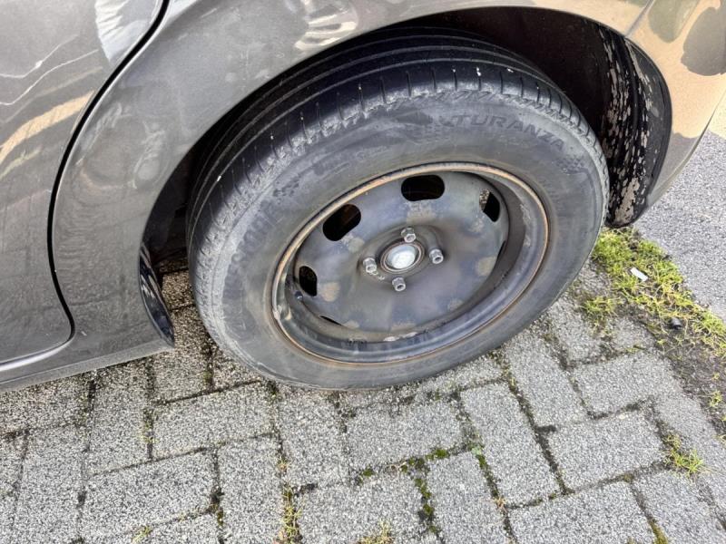 https://cdn.aeman.nl/AE_Hammertime/image/800/800/6844a793-8087-405f-9033-fdcc57cf6ff2/jpg