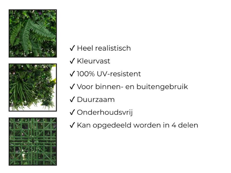 https://cdn.aeman.nl/AE_Hammertime/image/800/800/689d437d-b0dd-4fd3-adf4-db59ee41c740/jpg