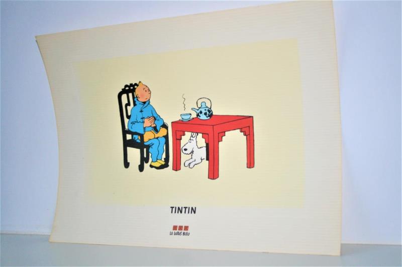 https://cdn.aeman.nl/AE_Hammertime/image/800/800/68e26cb6-6d79-448d-aedc-296e18a4e325/jpg
