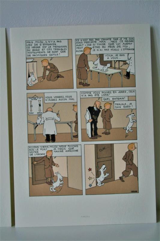 https://cdn.aeman.nl/AE_Hammertime/image/800/800/6919e6ce-07f3-405a-8cd2-70ee34a42b3e/jpg