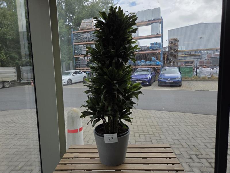 https://cdn.aeman.nl/AE_Hammertime/image/800/800/69e7deaa-94ae-405c-aeed-04fe6381e036/jpg