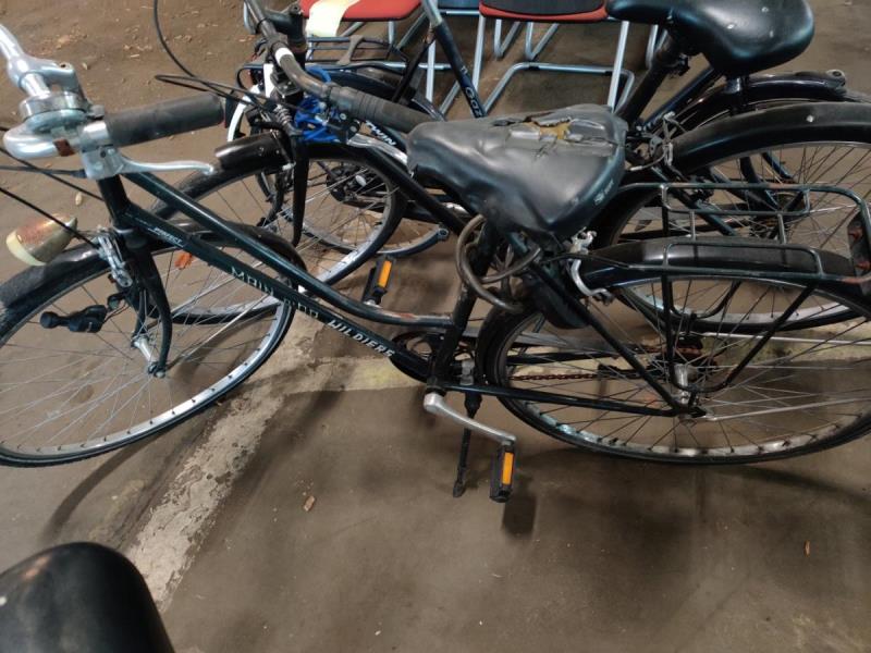 https://cdn.aeman.nl/AE_Hammertime/image/800/800/6a08b4a2-9065-4776-9a29-ff8a7ea71ae2/jpg