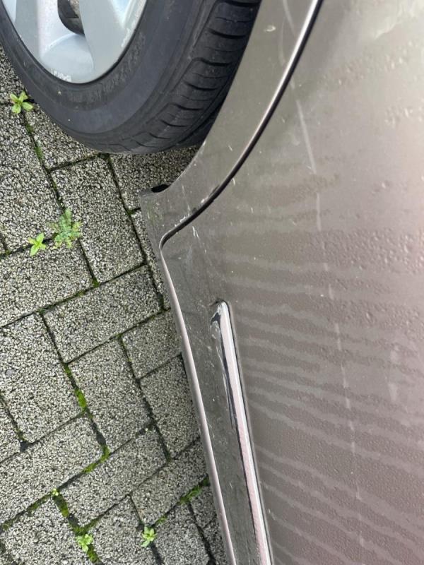 https://cdn.aeman.nl/AE_Hammertime/image/800/800/6ba479af-f31a-42c7-a056-a2747581d8f7/jpg