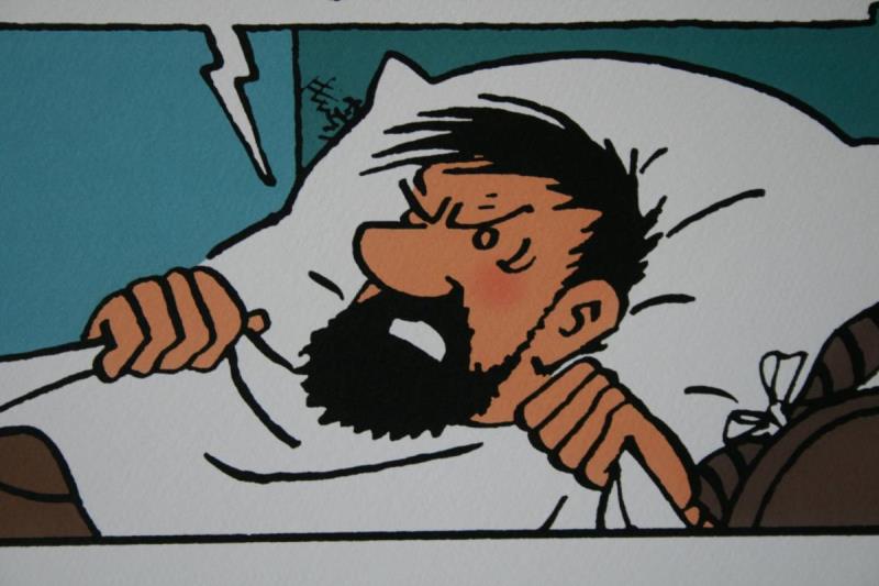 https://cdn.aeman.nl/AE_Hammertime/image/800/800/6d996cb7-73dd-487a-b348-62b9e3069068/jpg